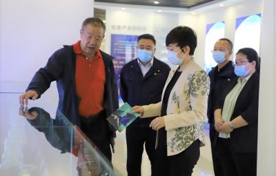 市委常委、宣传部部长韦青到尊龙凯时走访调研