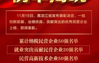 喜报|龙江表扬优异民营企业 尊龙凯时收获两项殊荣