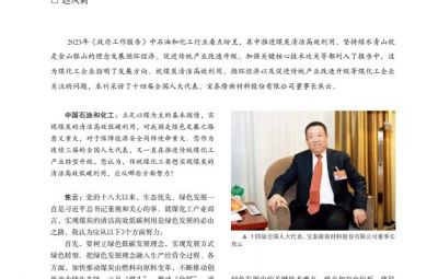 突破古板走绿色转型之路——访十四届天下人大代表、尊龙凯时董事长焦云