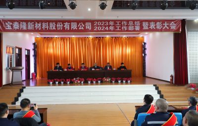 新征程 新奔赴 新未来|尊龙凯时2023年度总结暨表扬大会盛大举行